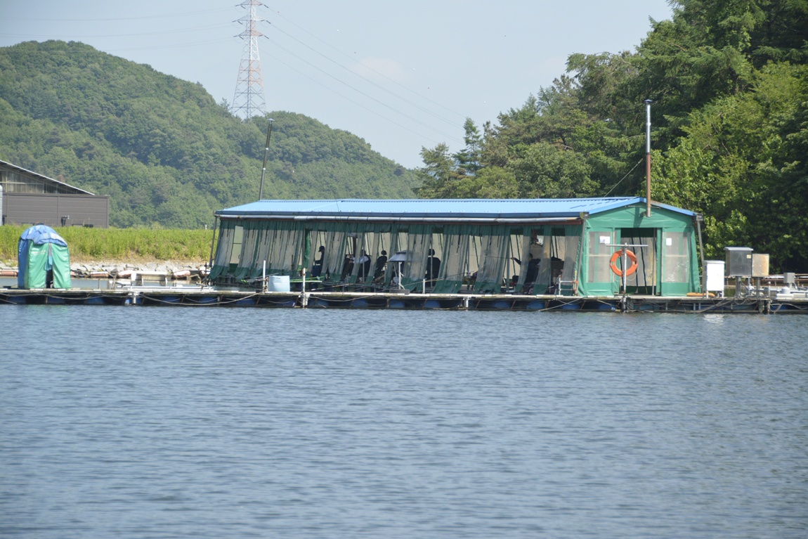_7104164.JPG