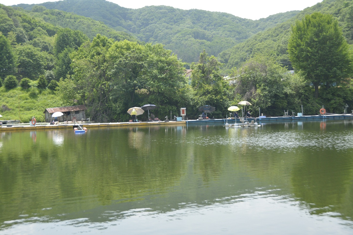 _7104176.JPG