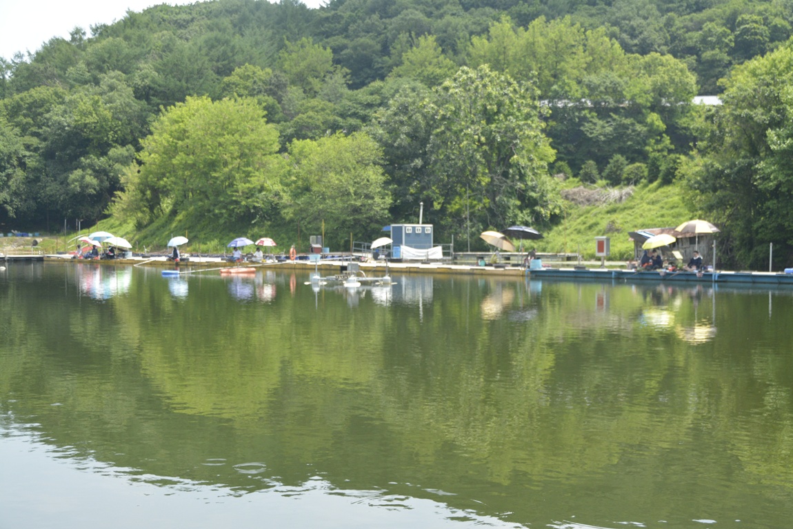 _7104181.JPG