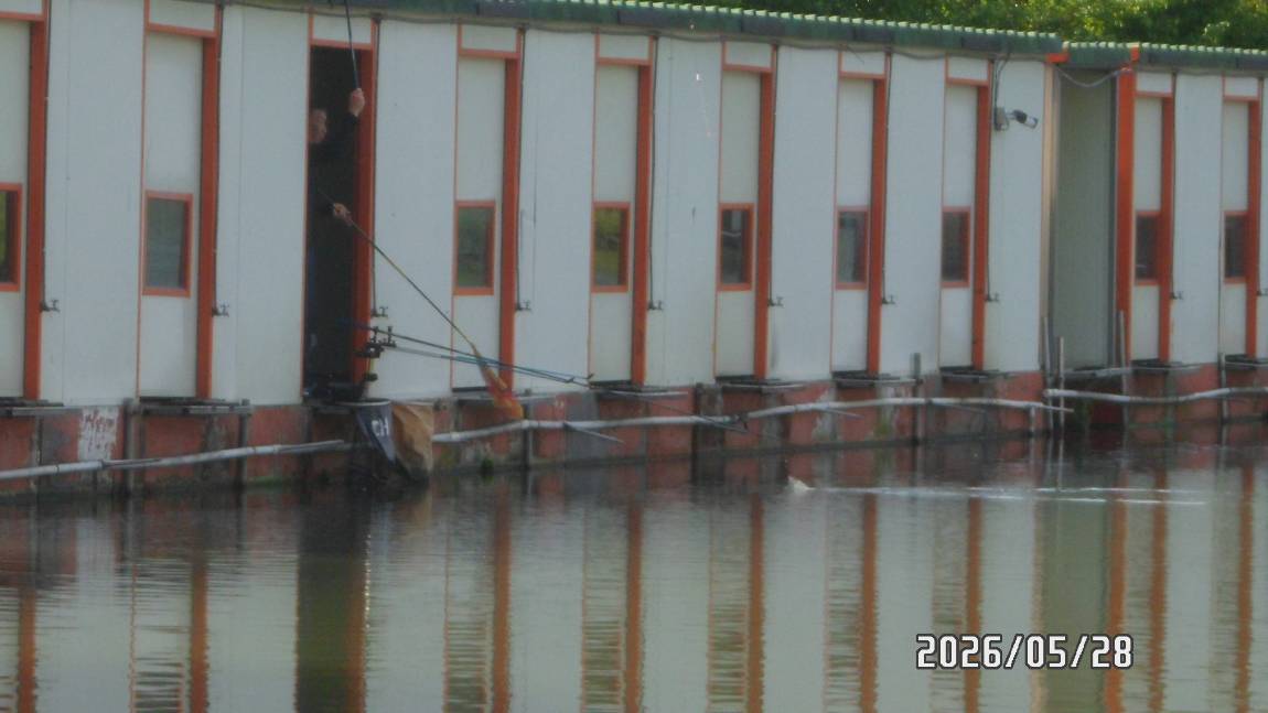 SAM_5223.JPG