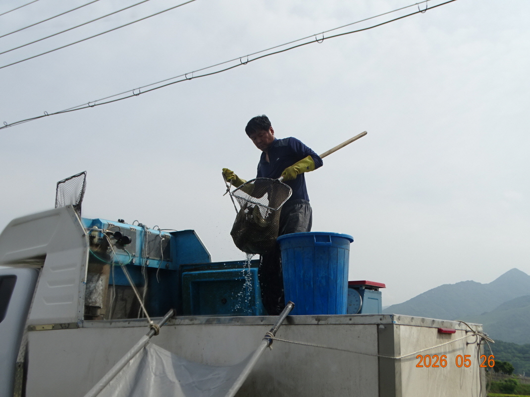 DSC03927.JPG