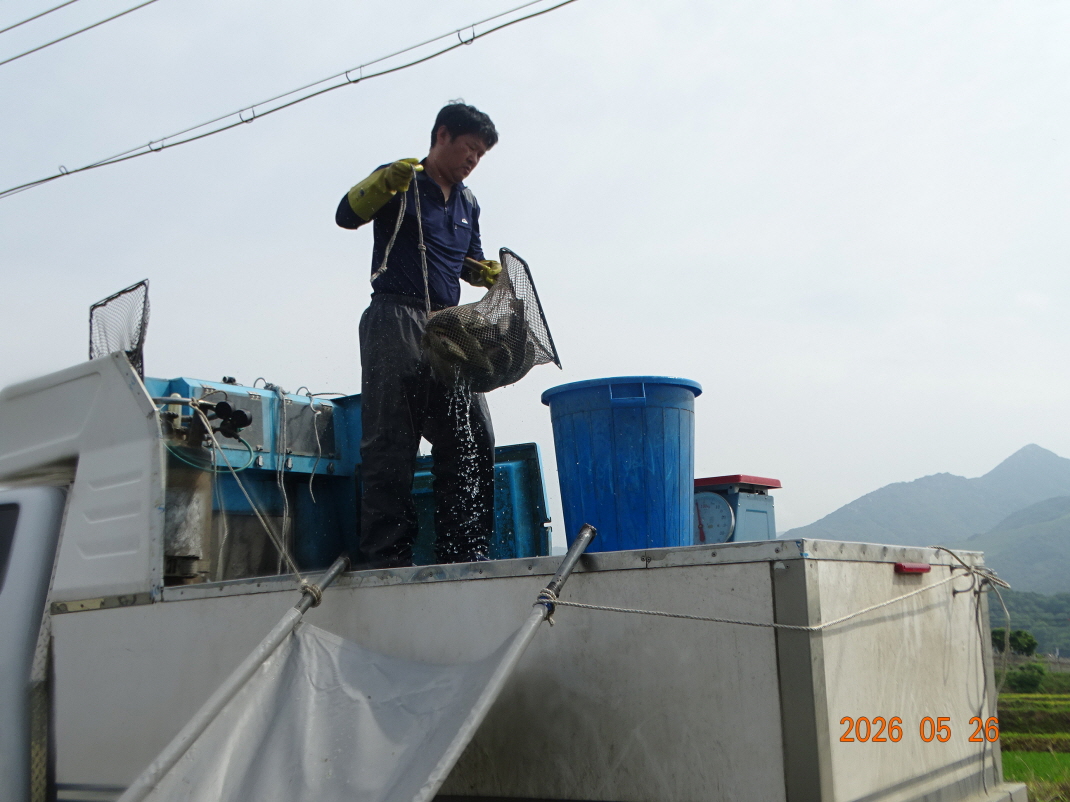 DSC03926.JPG