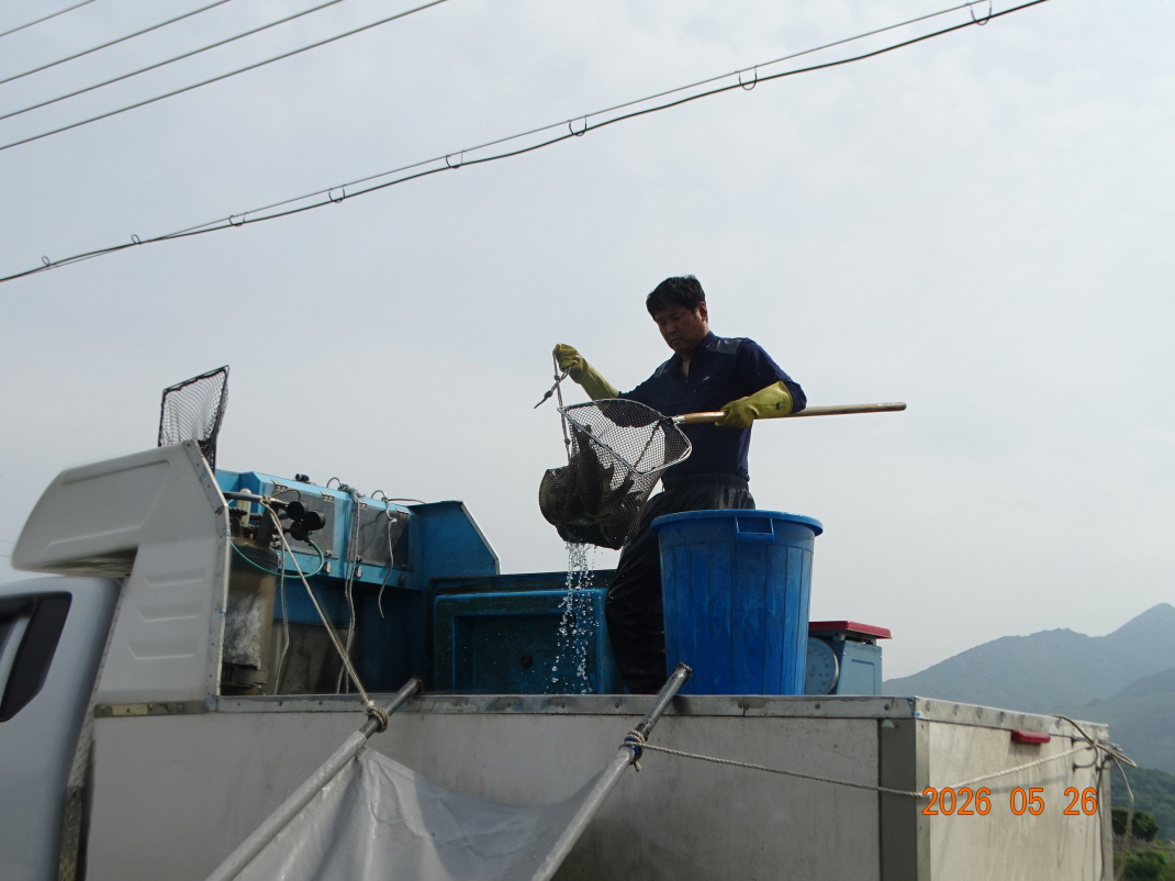 DSC03928.JPG