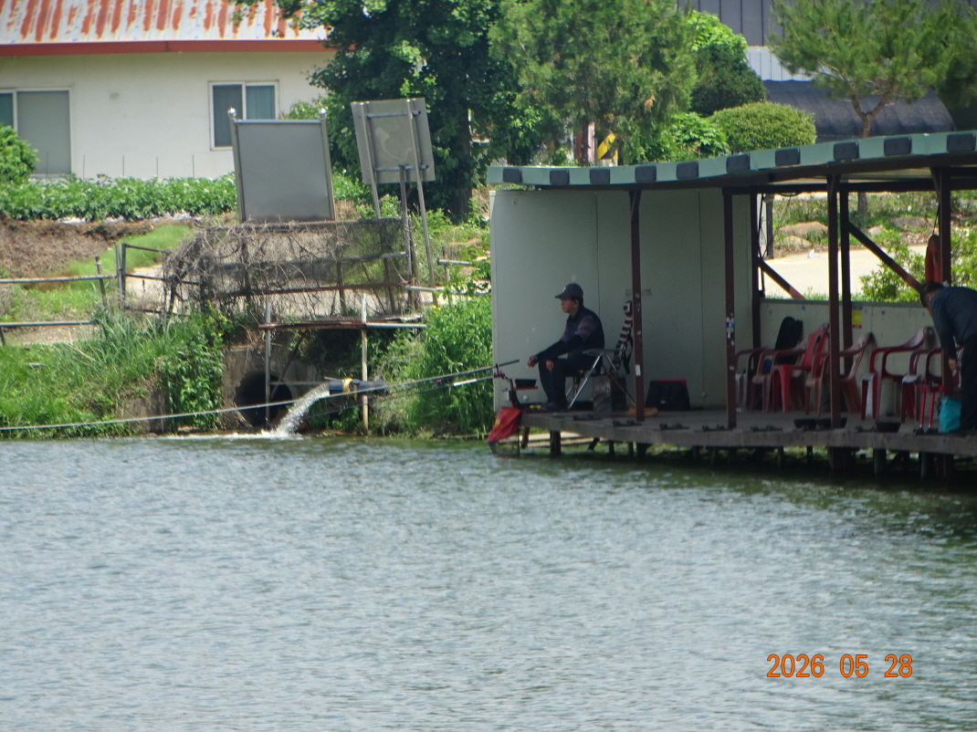 DSC04010.JPG