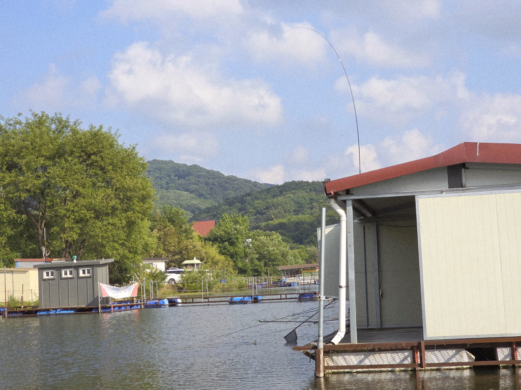 KakaoTalk_20260529_073842617_23[edit].jpg