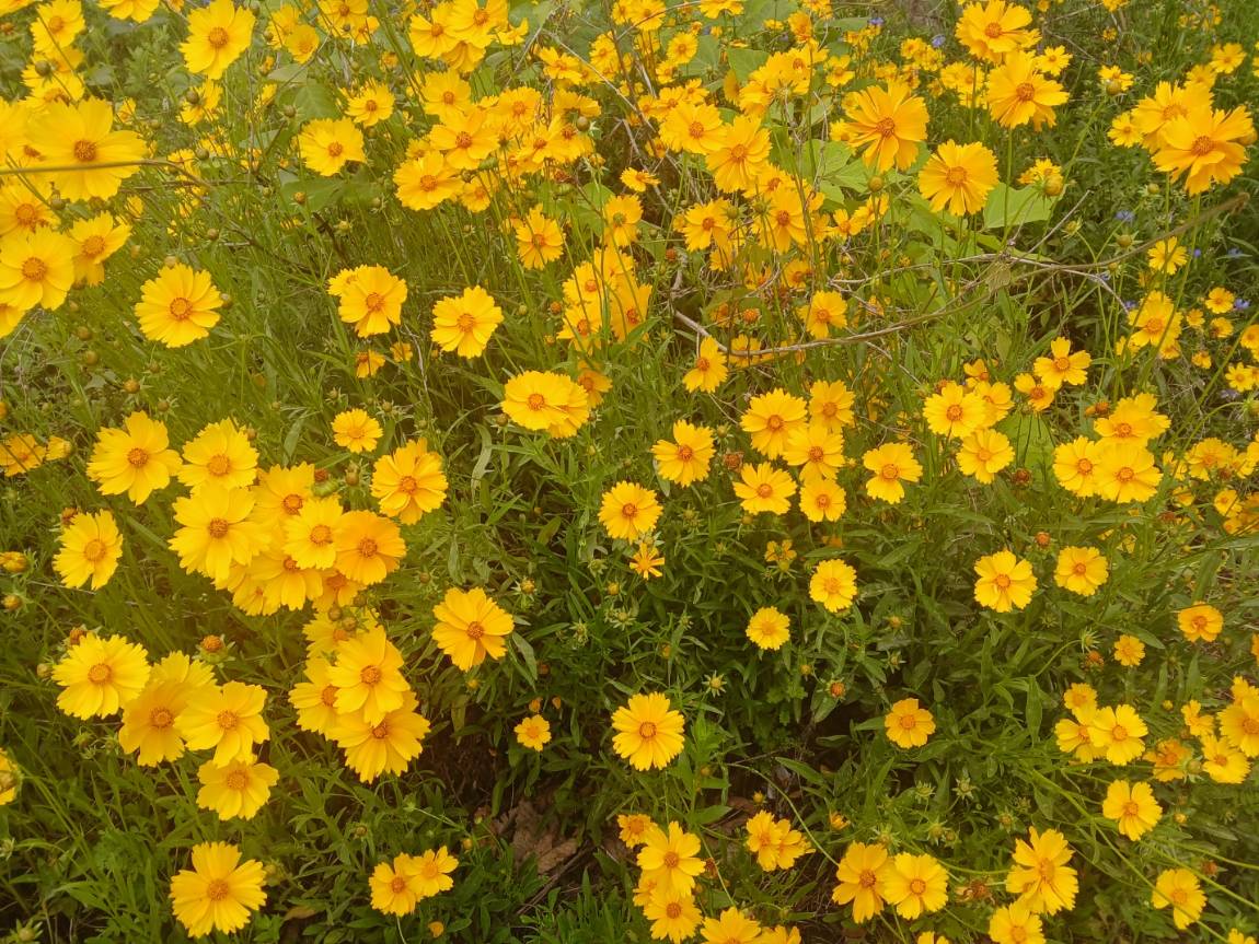 KakaoTalk_20260529_124711875_13.jpg