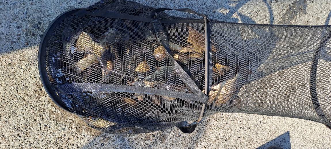 KakaoTalk_20260601_095409091_07.jpg