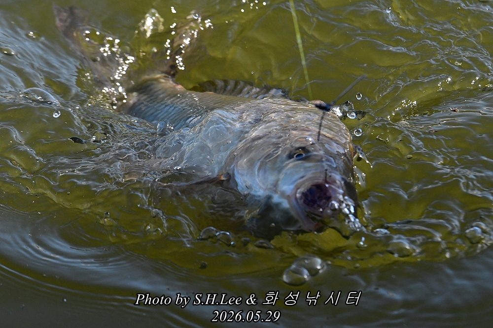DSC_1069.JPG