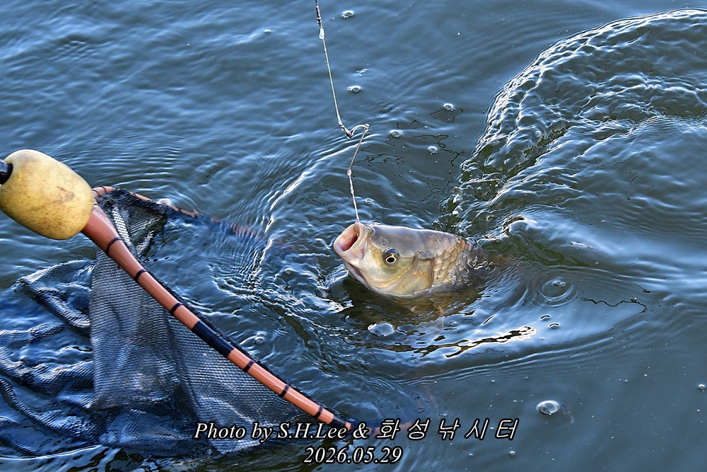 DSC_1078.JPG