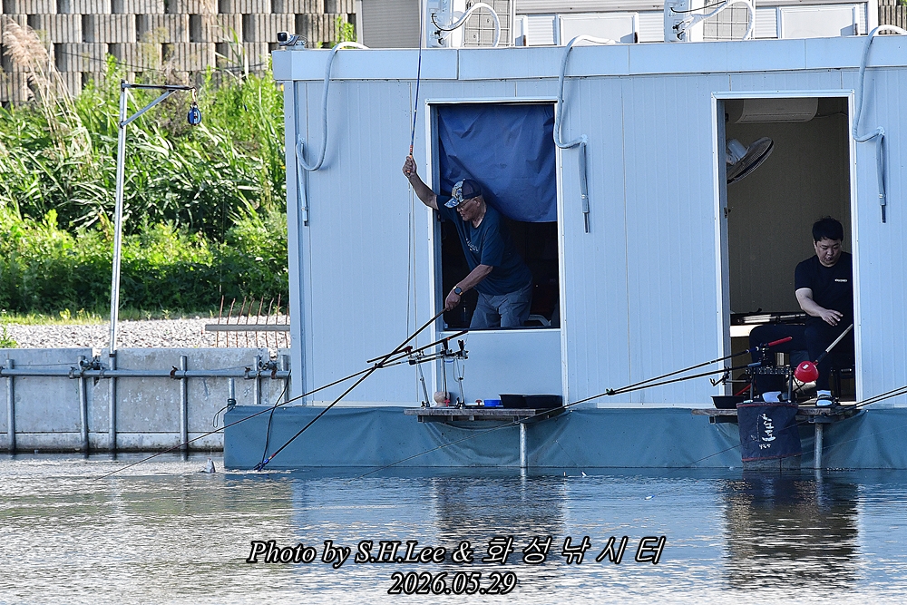 DSC_1101.JPG