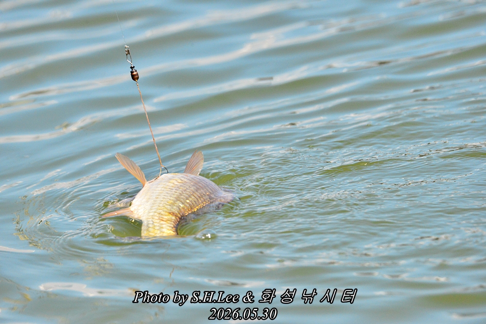 LSH_9014.JPG