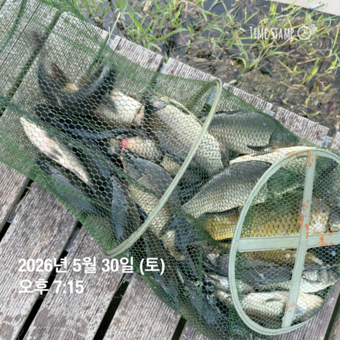 KakaoTalk_20260601_105851361_06.jpg