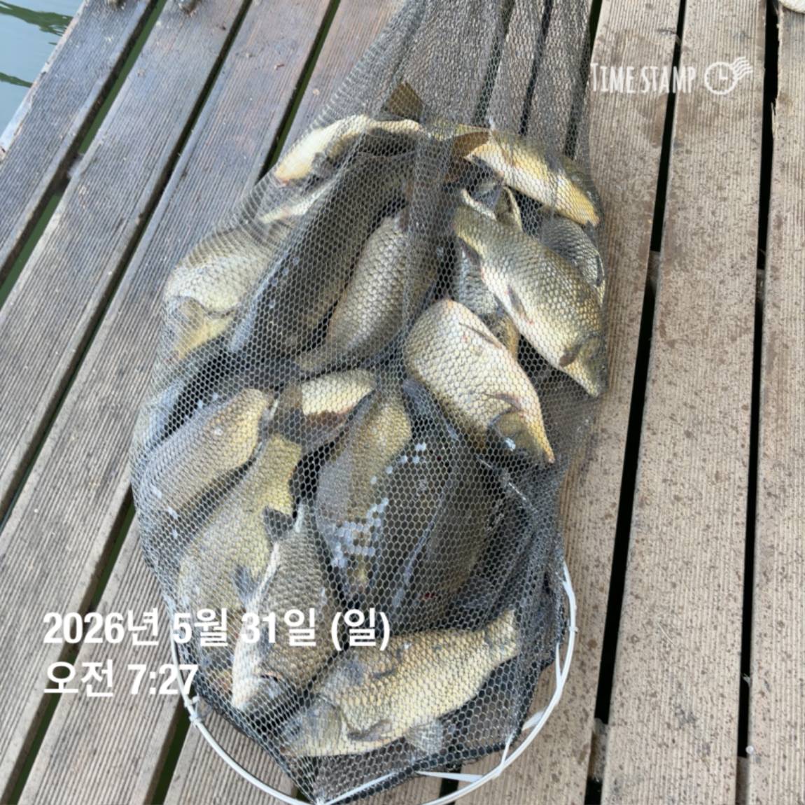 KakaoTalk_20260601_105851361_09.jpg