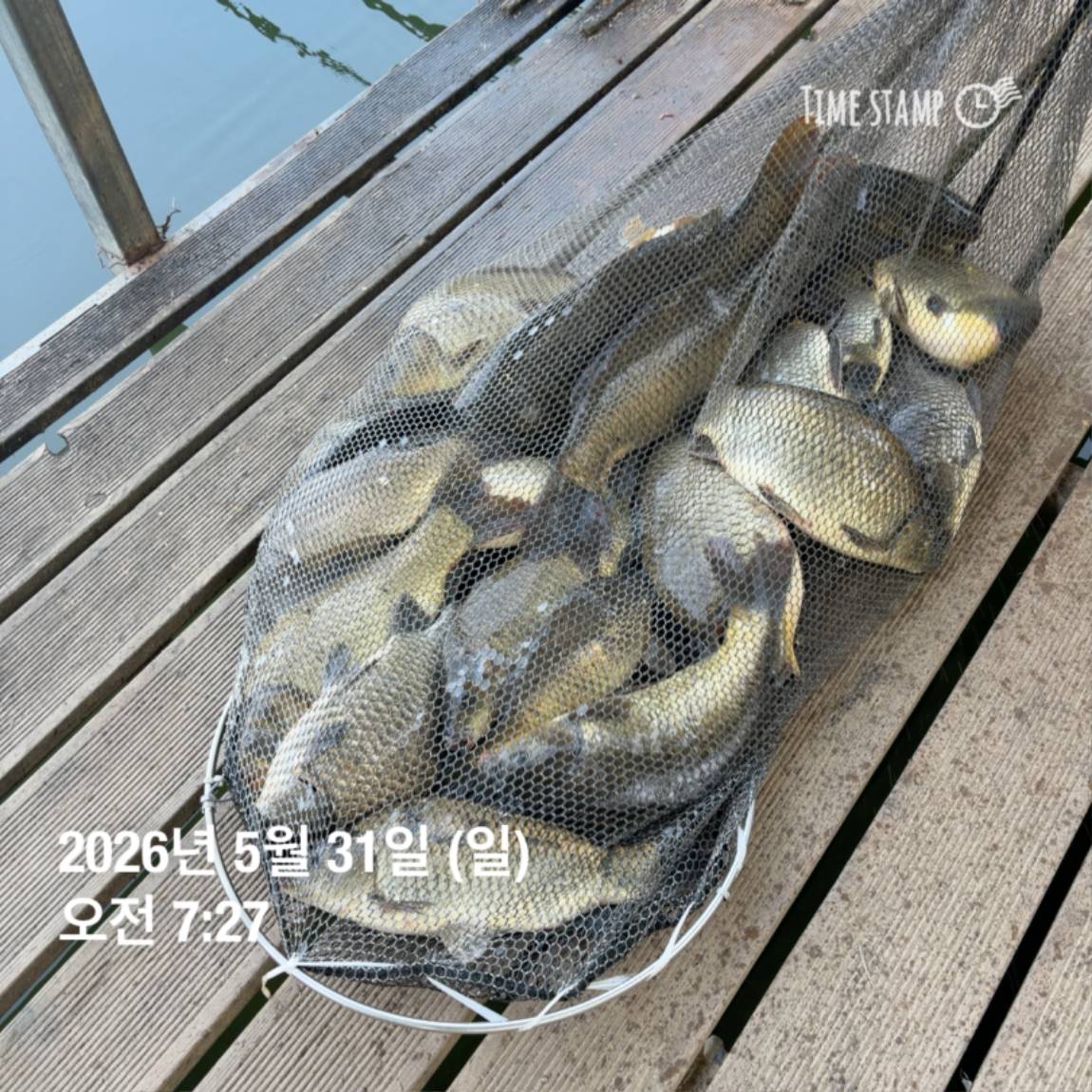 KakaoTalk_20260601_105851361_10.jpg