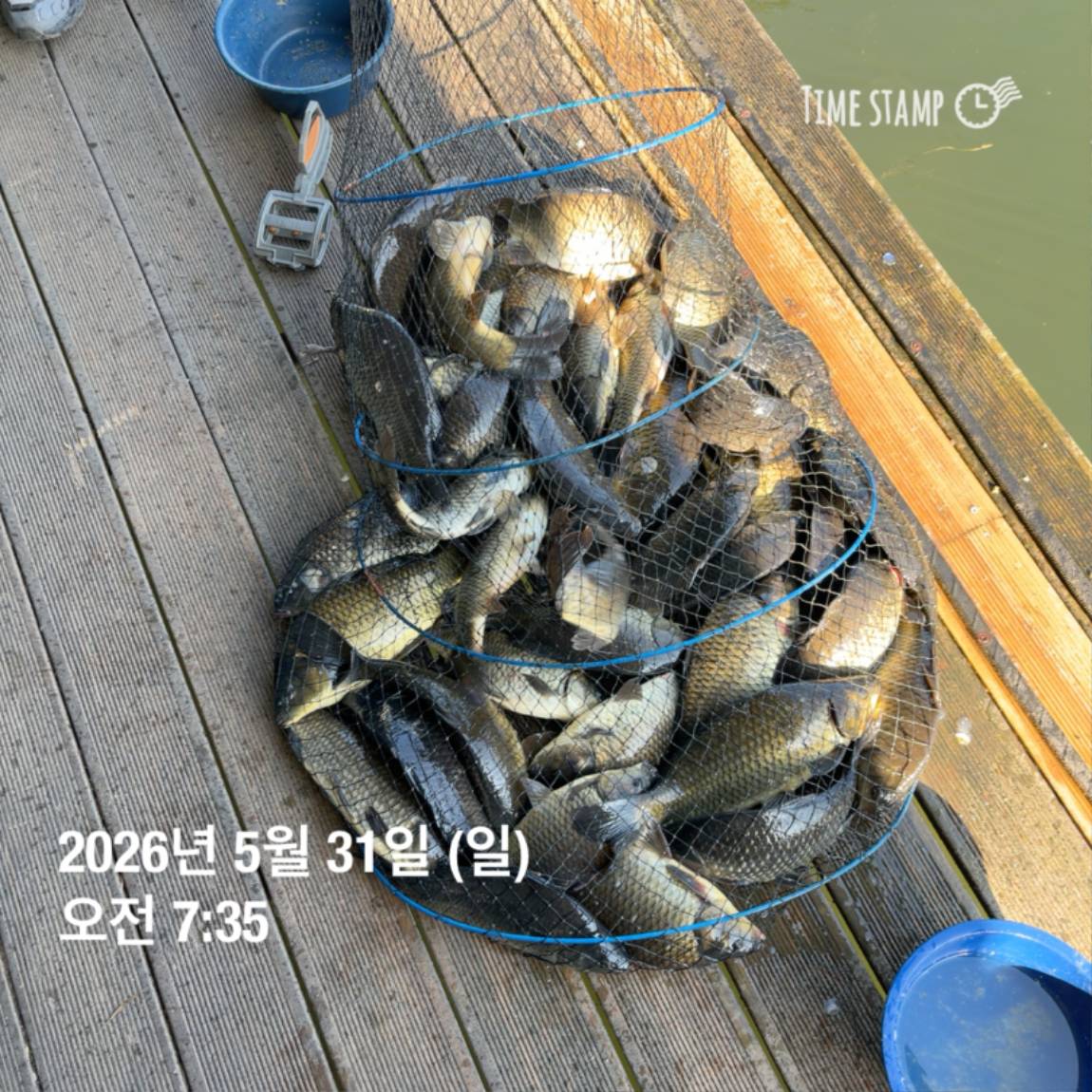 KakaoTalk_20260601_105851361_11.jpg