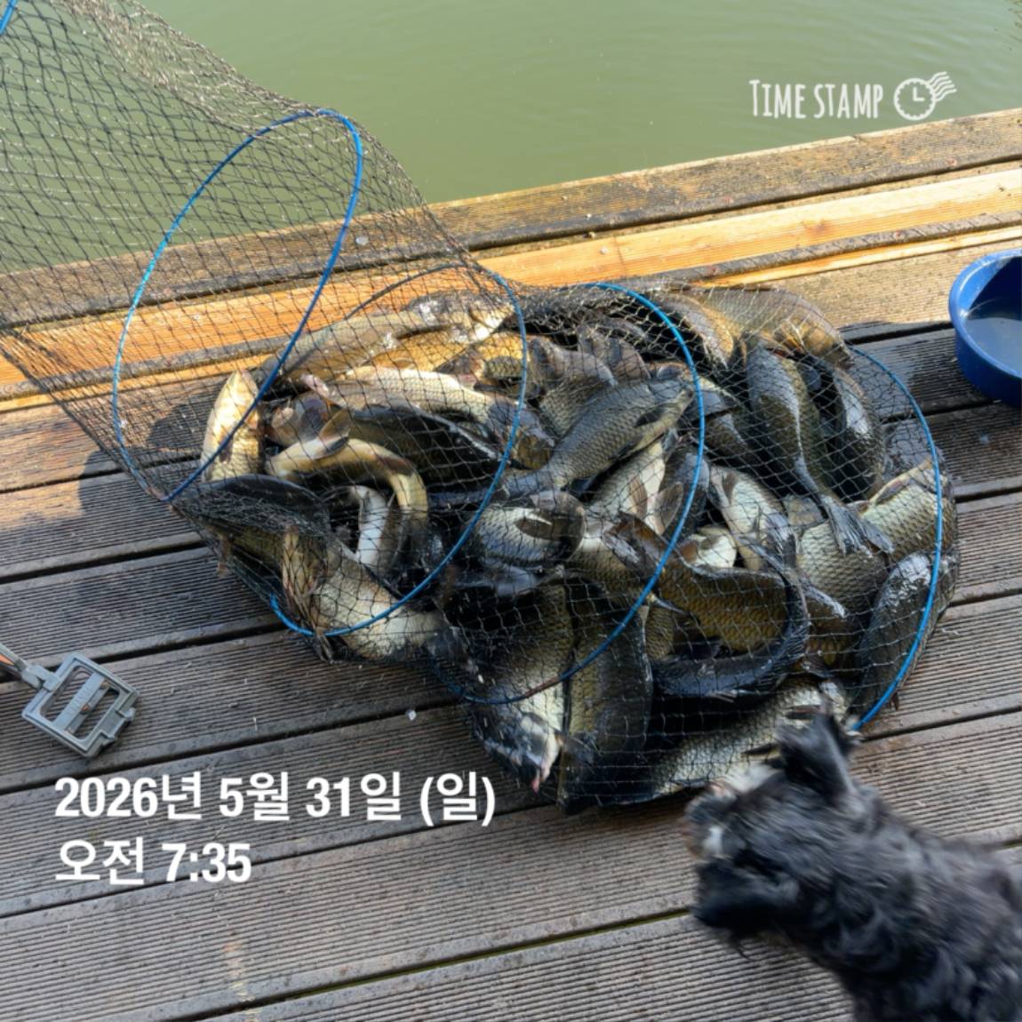 KakaoTalk_20260601_105851361_13.jpg