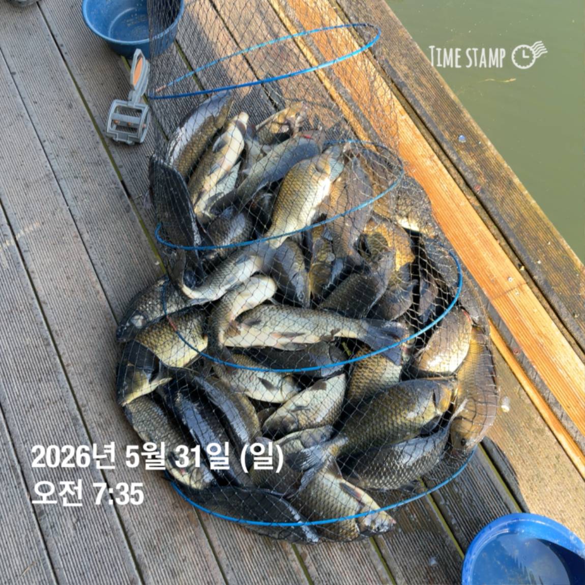 KakaoTalk_20260601_105851361_12.jpg