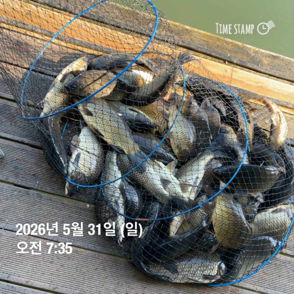 KakaoTalk_20260601_105851361_14.jpg