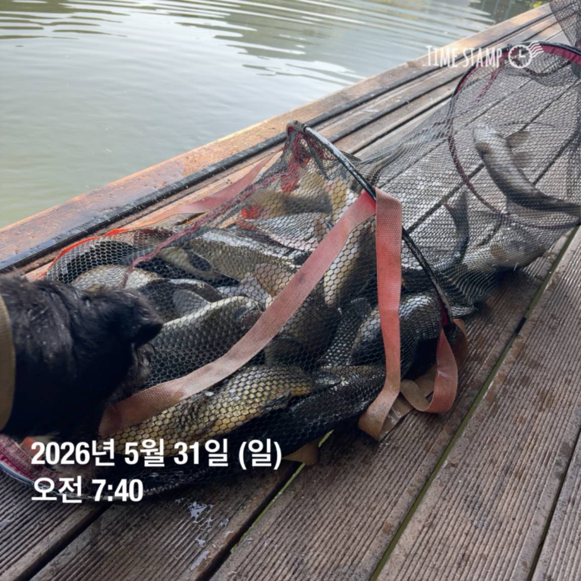 KakaoTalk_20260601_105851361_16.jpg
