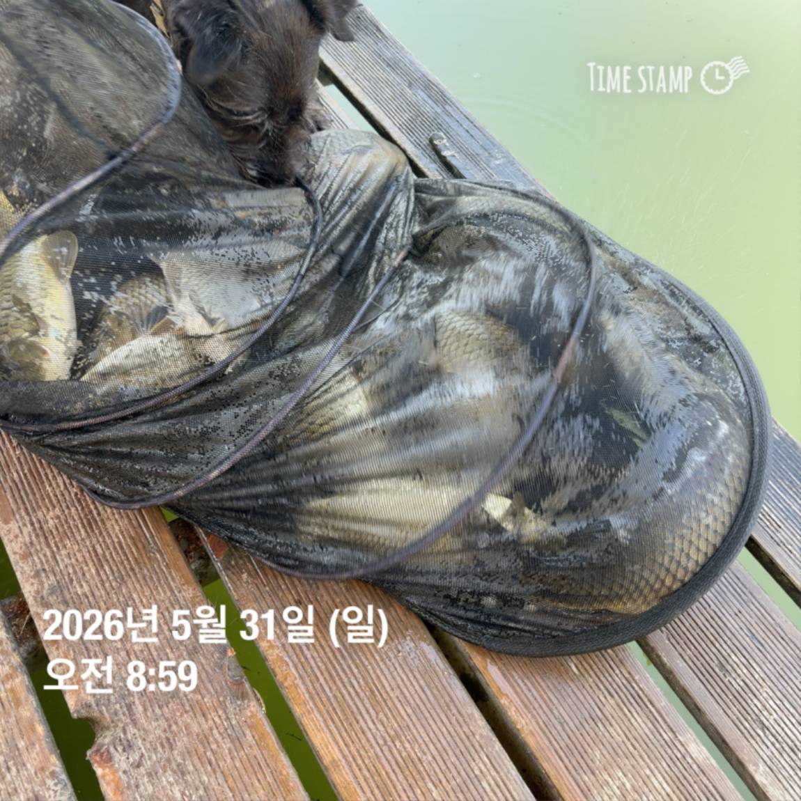 KakaoTalk_20260601_105851361_19.jpg