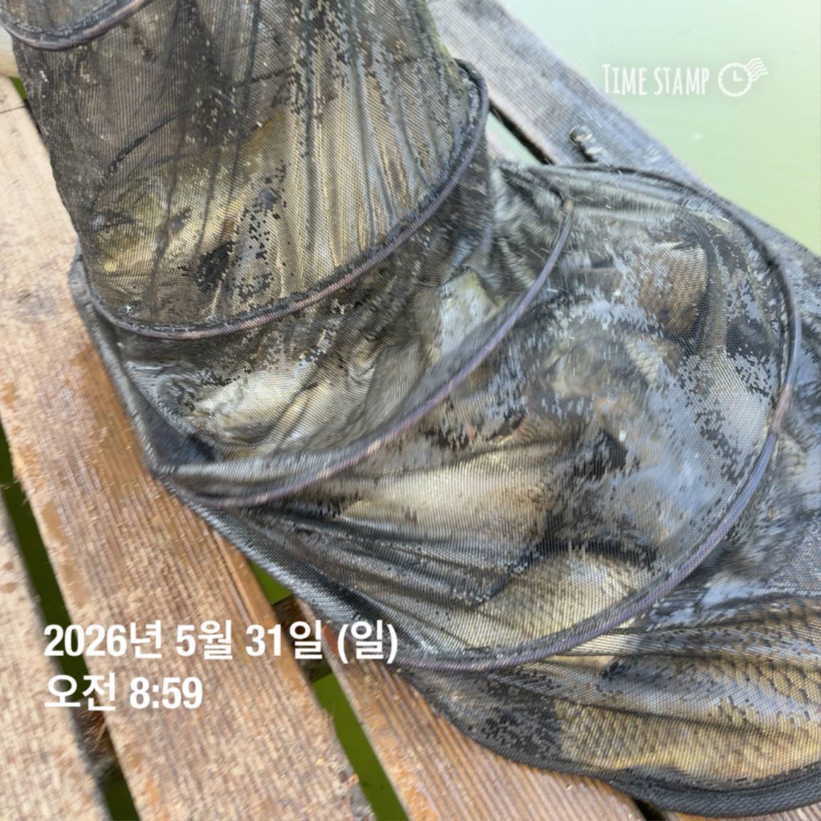 KakaoTalk_20260601_105851361_18.jpg