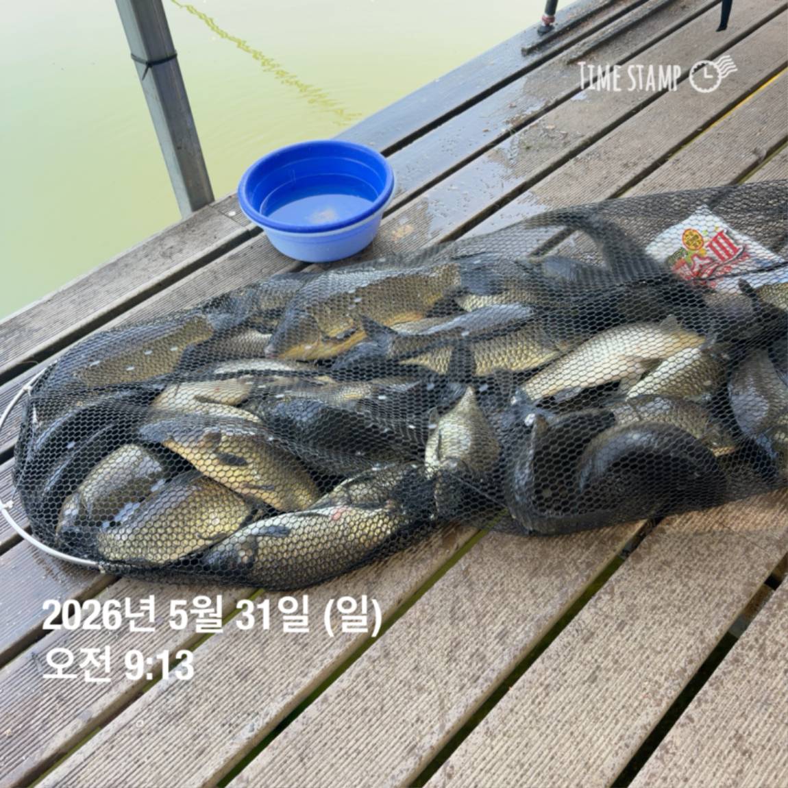 KakaoTalk_20260601_105851361_22.jpg