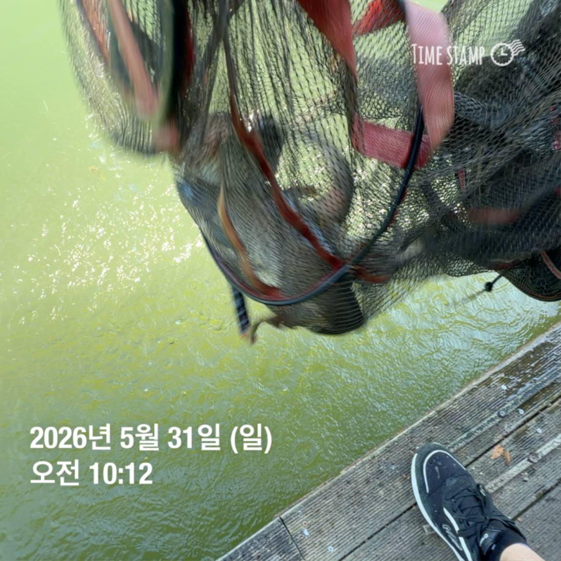 KakaoTalk_20260601_105851361_28.jpg