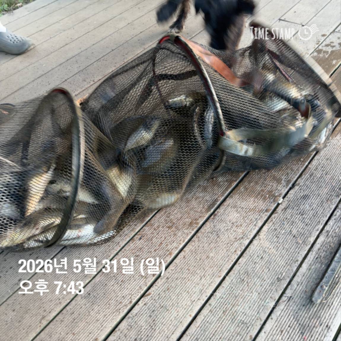 KakaoTalk_20260601_105857575_05.jpg