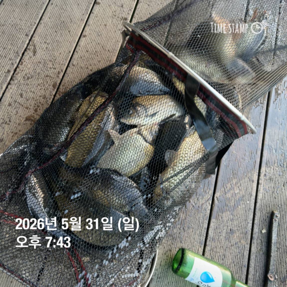 KakaoTalk_20260601_105857575_07.jpg