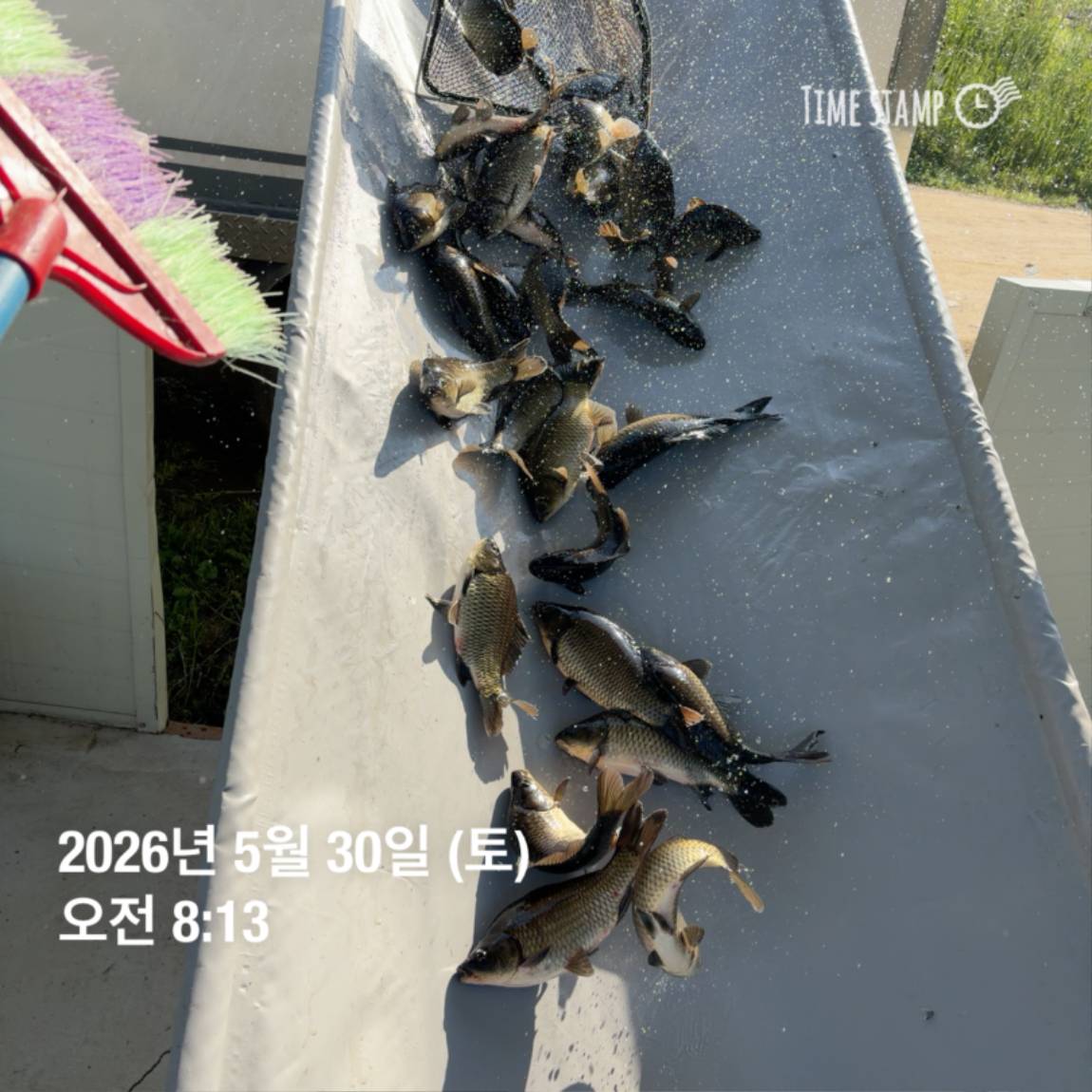 KakaoTalk_20260601_105857575_10.jpg