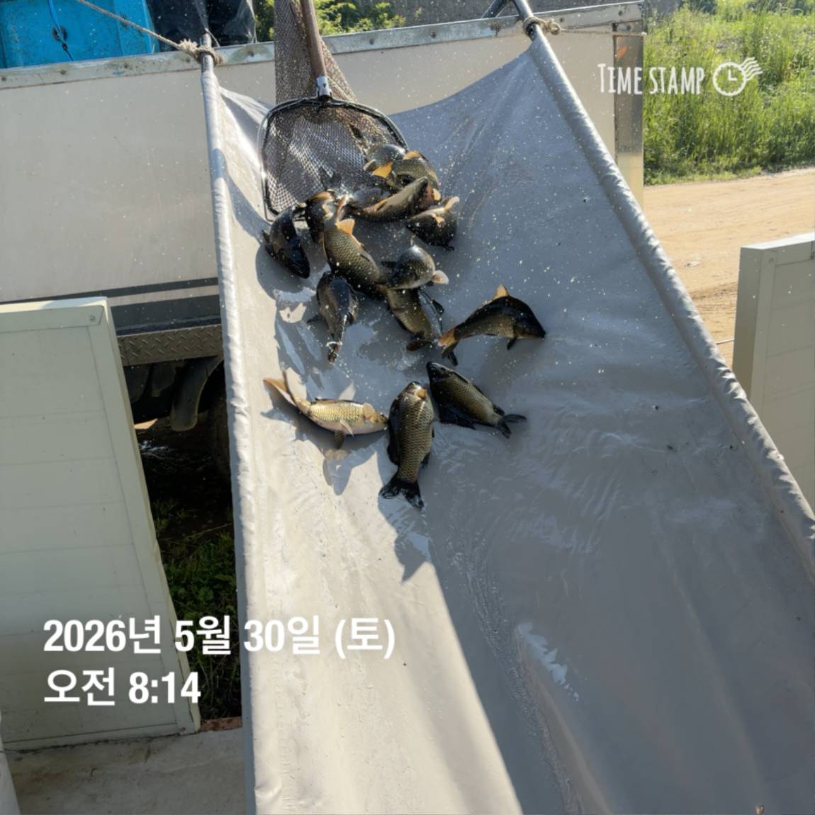 KakaoTalk_20260601_105857575_19.jpg