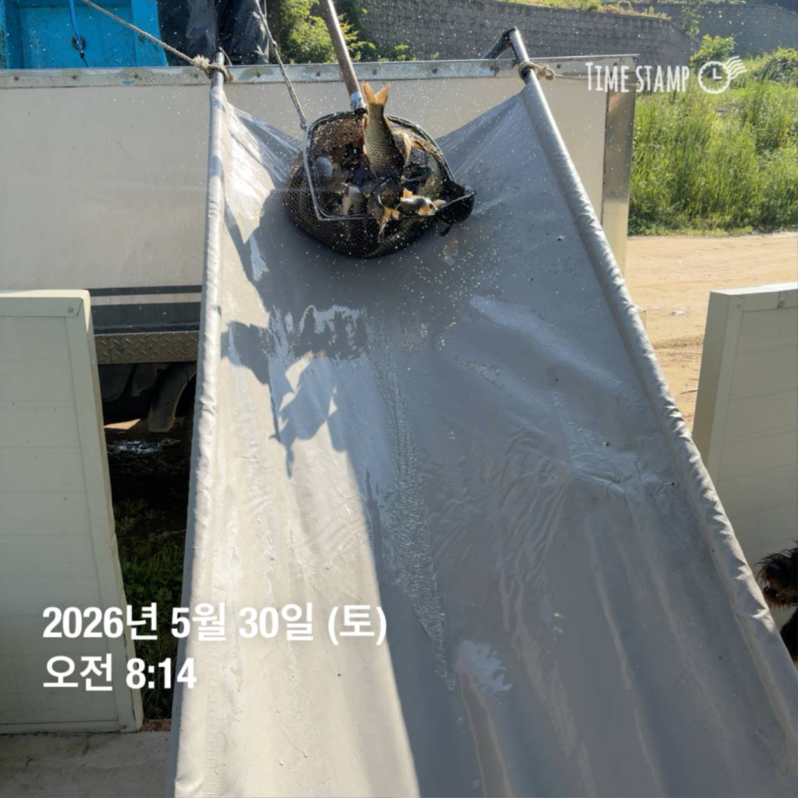 KakaoTalk_20260601_105857575_21.jpg