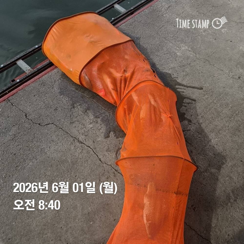 1780300590228.jpg