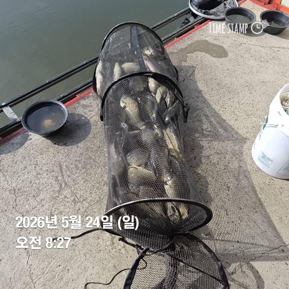 1780300619058.jpg