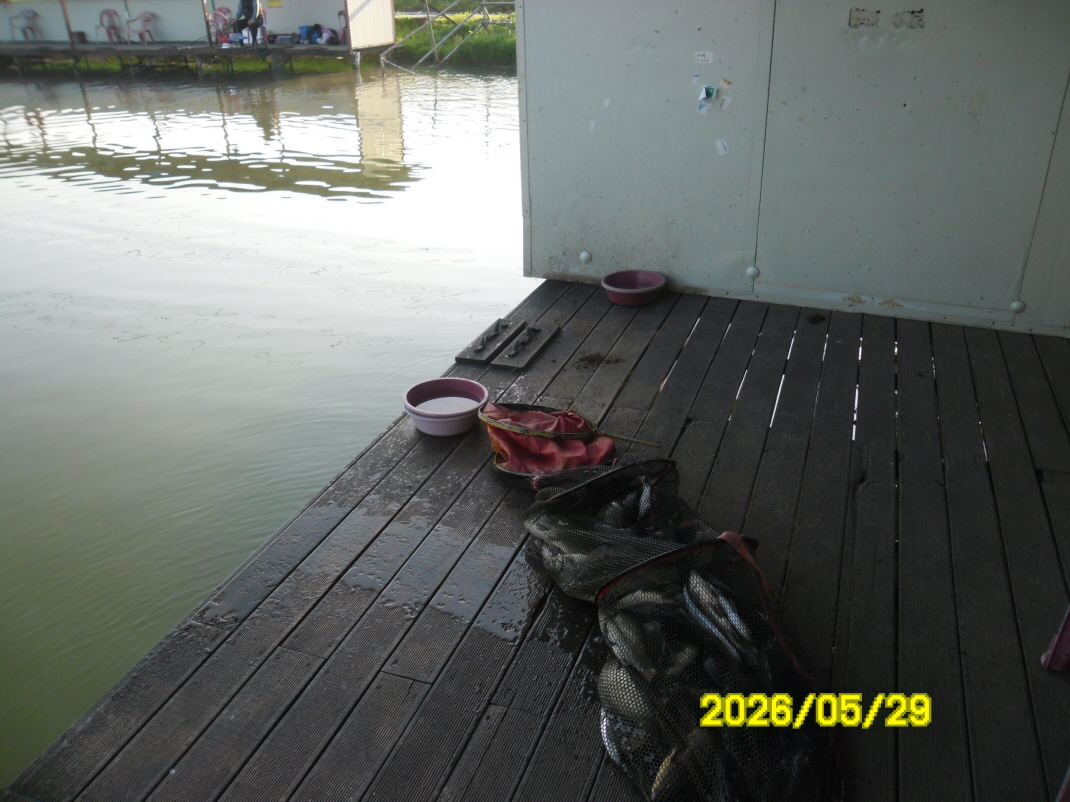 SAM_0040.JPG