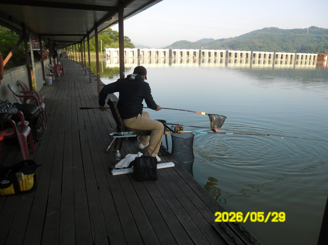 SAM_0043.JPG
