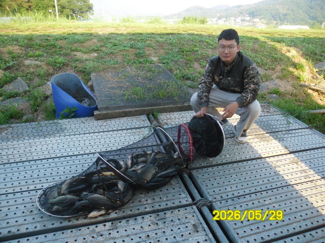 SAM_0047.JPG