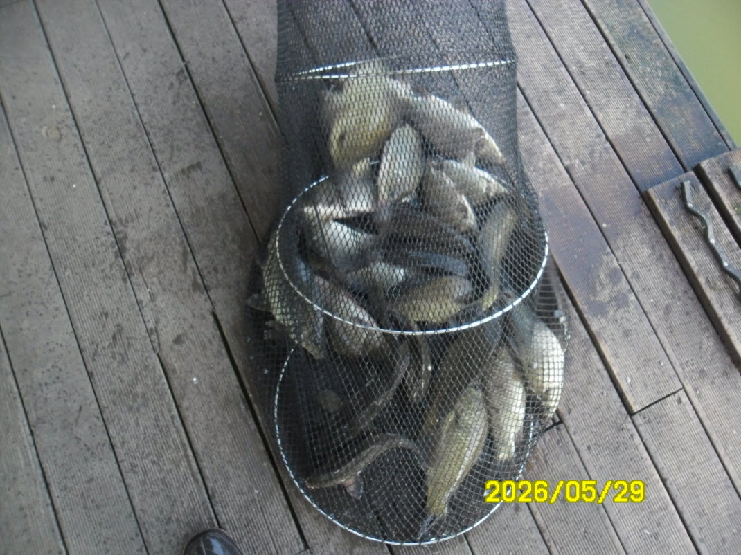 SAM_0046.JPG