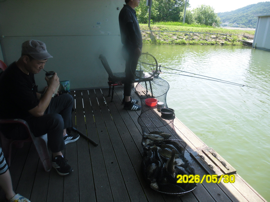 SAM_0066.JPG