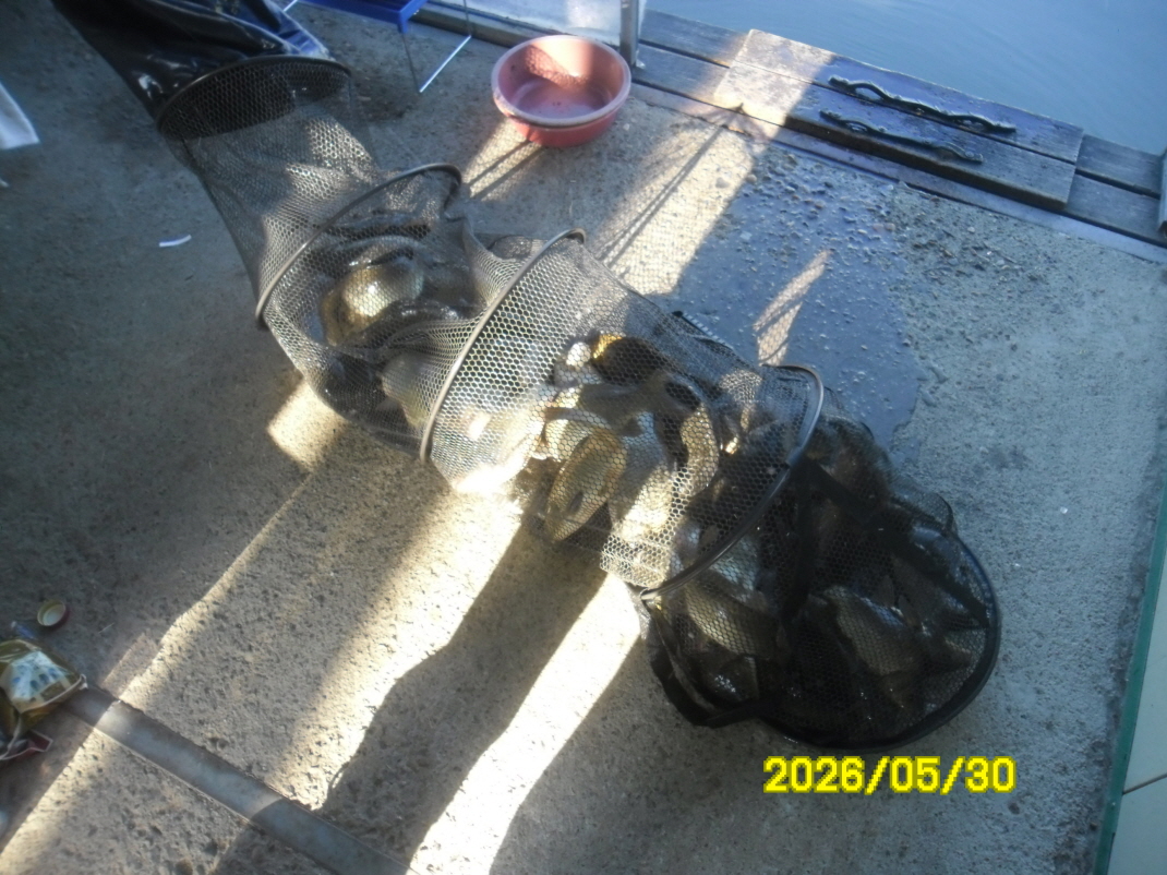 SAM_0108.JPG
