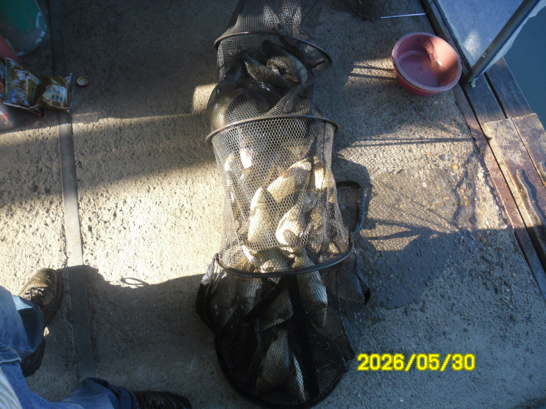 SAM_0109.JPG