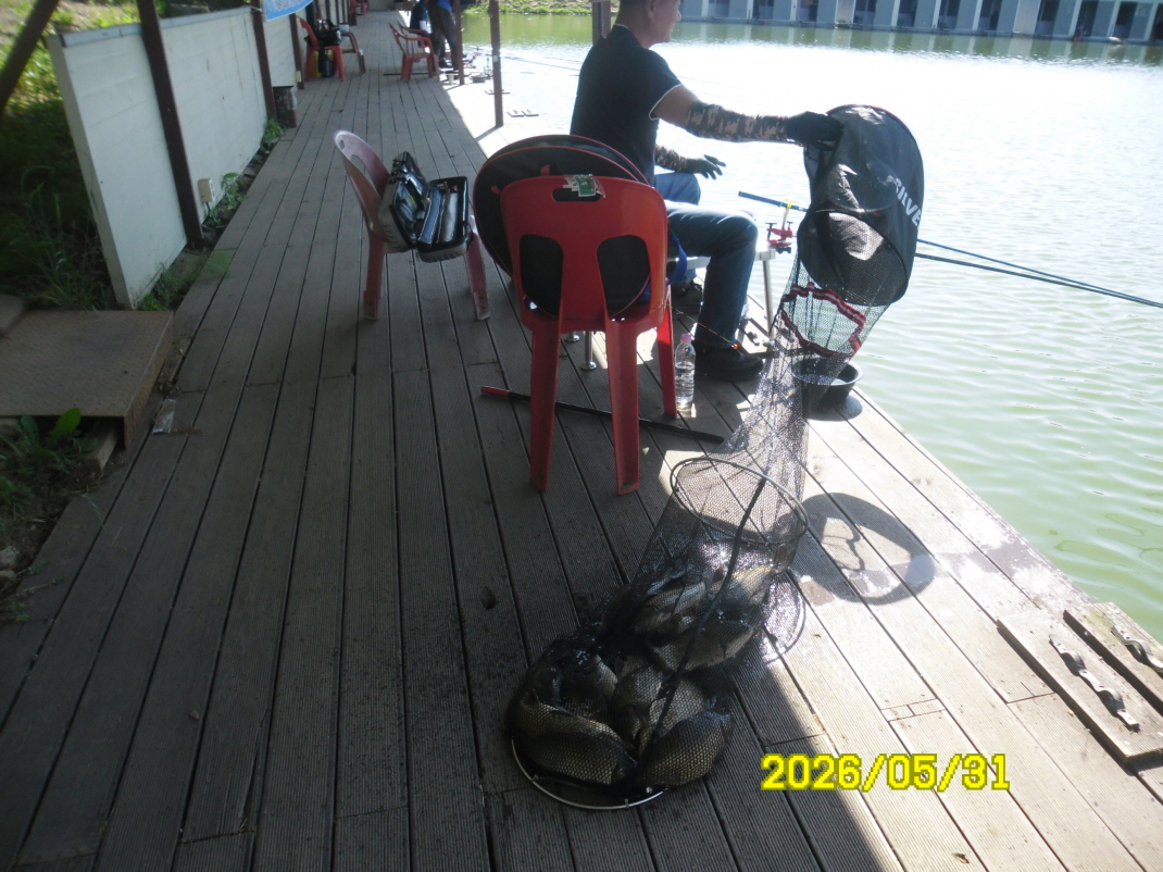 SAM_0130.JPG