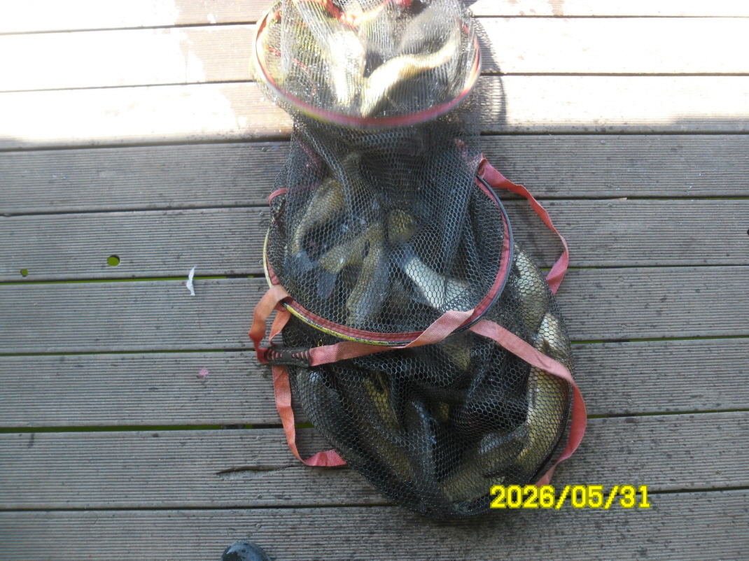 SAM_0125.JPG