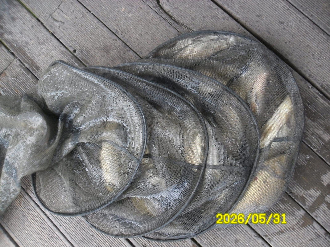 SAM_0137.JPG
