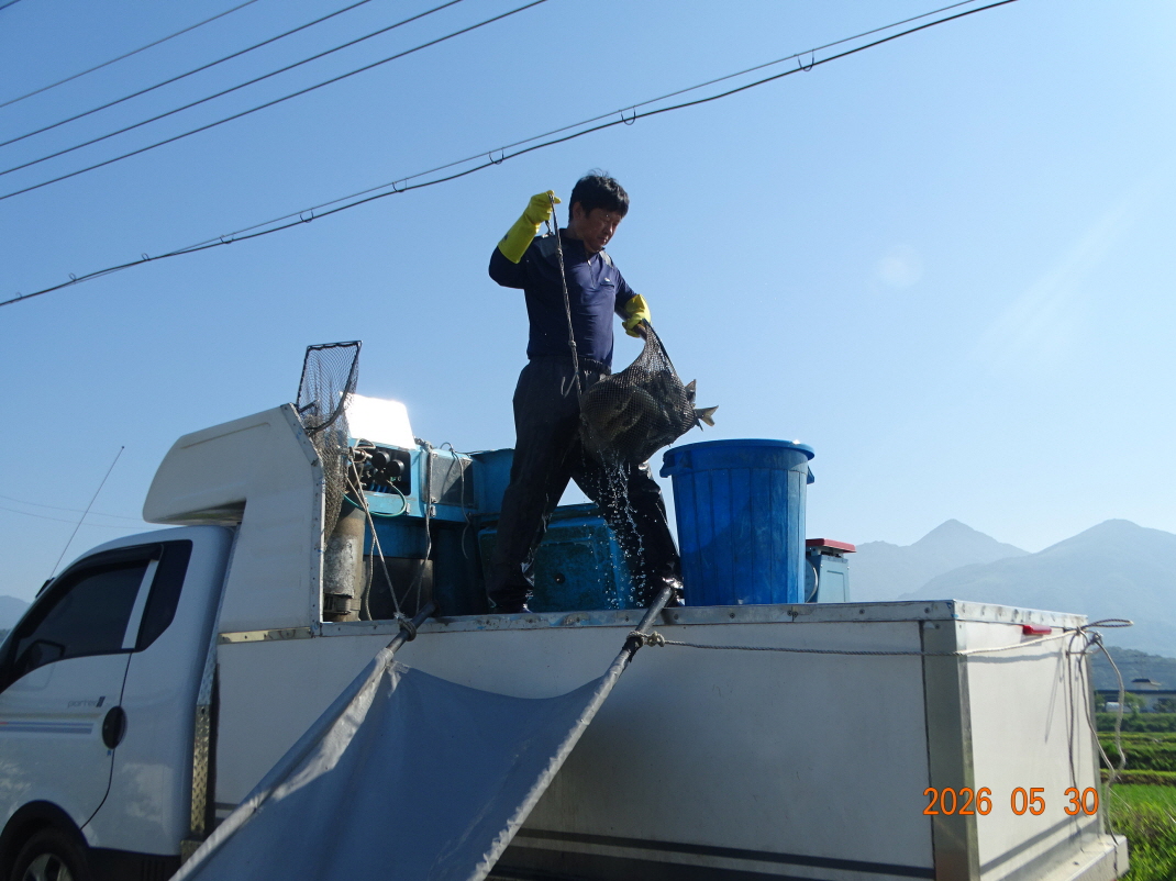 DSC04066.JPG