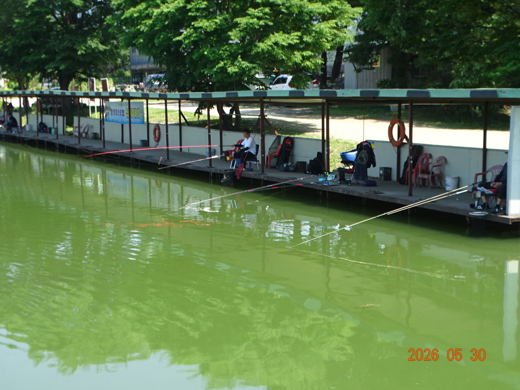 DSC04155.JPG