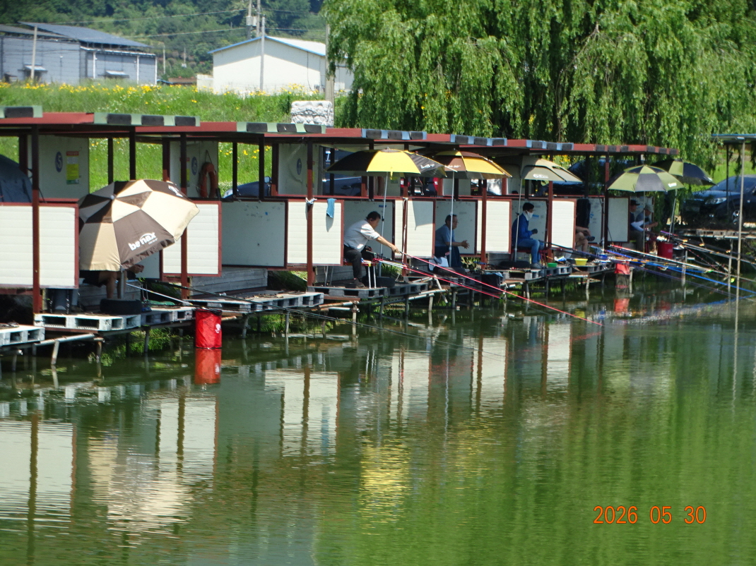 DSC04173.JPG