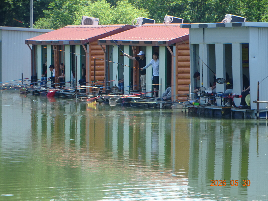DSC04176.JPG