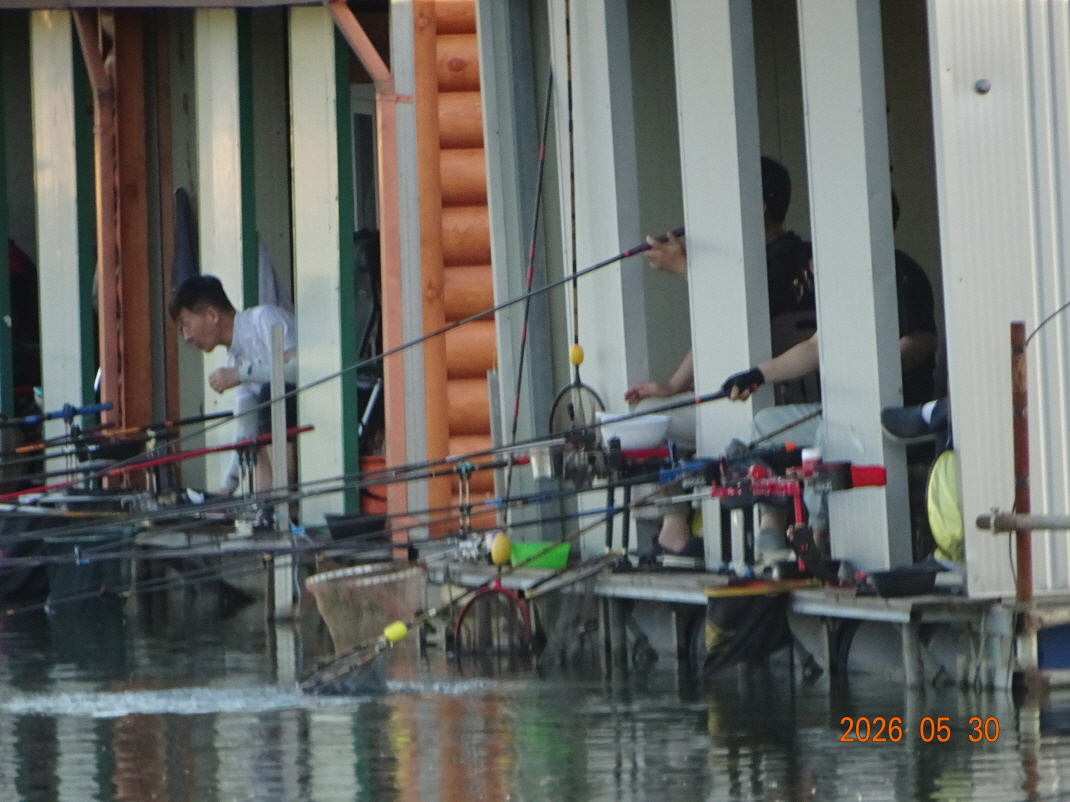 DSC04222.JPG