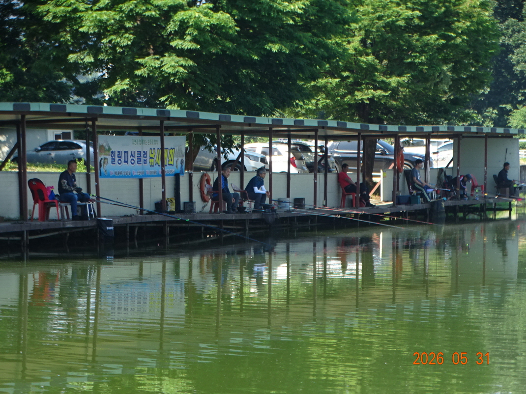 DSC04233.JPG